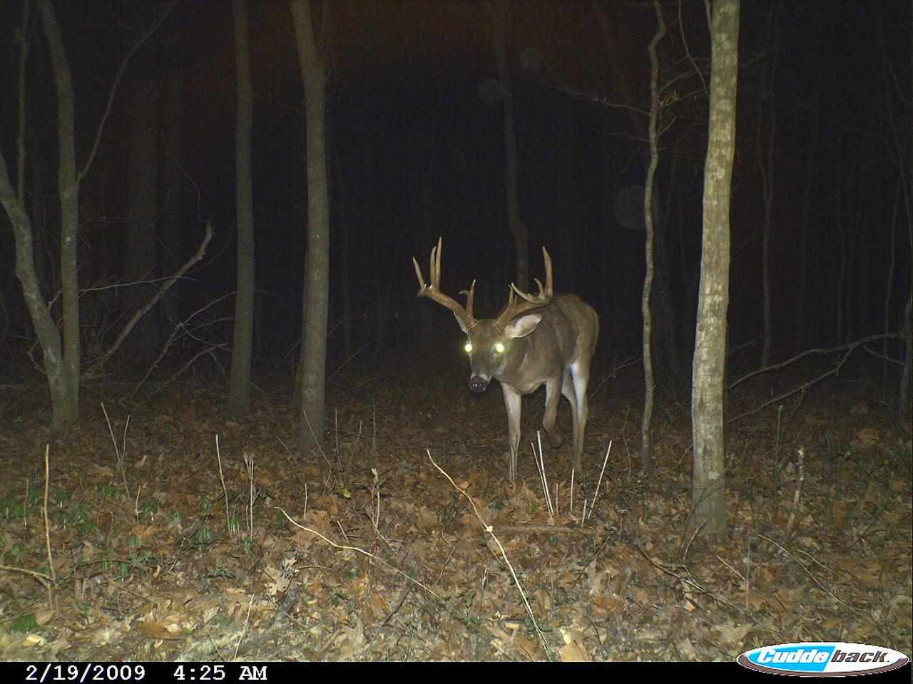 524 Goodloe Road Canton, MS 39046 - Photo 2 of 27 Photo 2