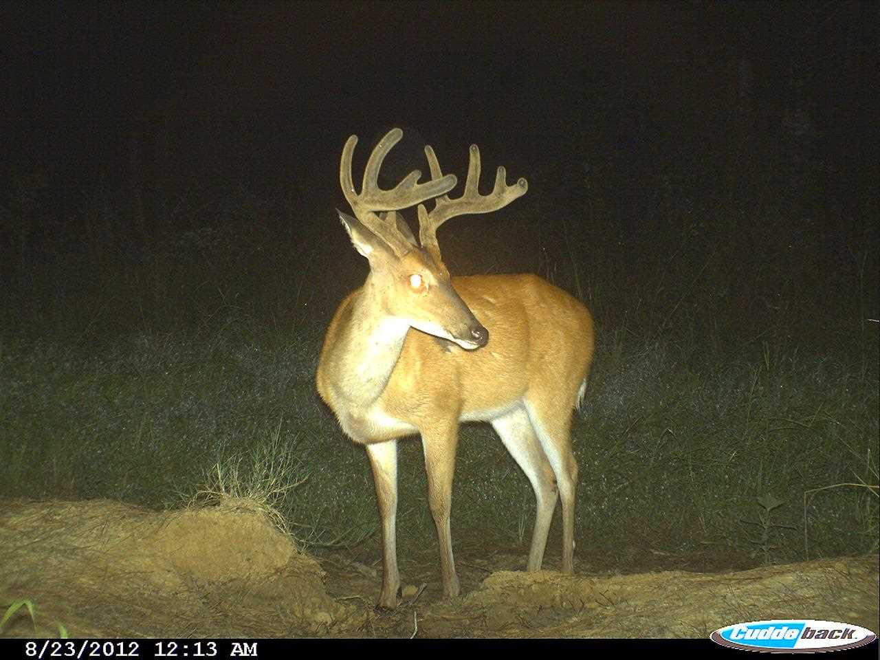 524 Goodloe Road Canton, MS 39046 - Photo 21 of 27 Photo 23