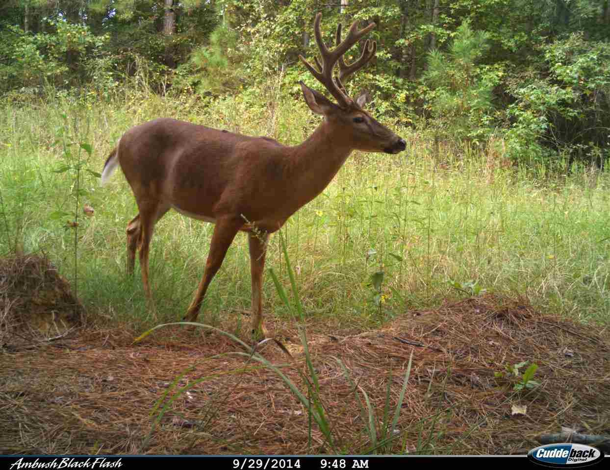 524 Goodloe Road Canton, MS 39046 - Photo 22 of 27 Photo 24