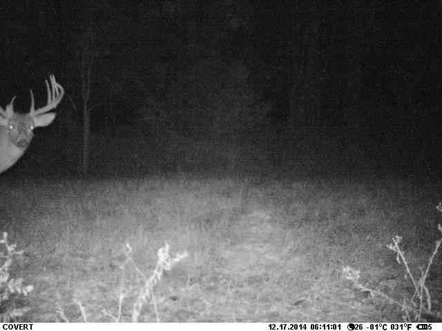 524 Goodloe Road Canton, MS 39046 - Photo 23 of 27 Photo 25
