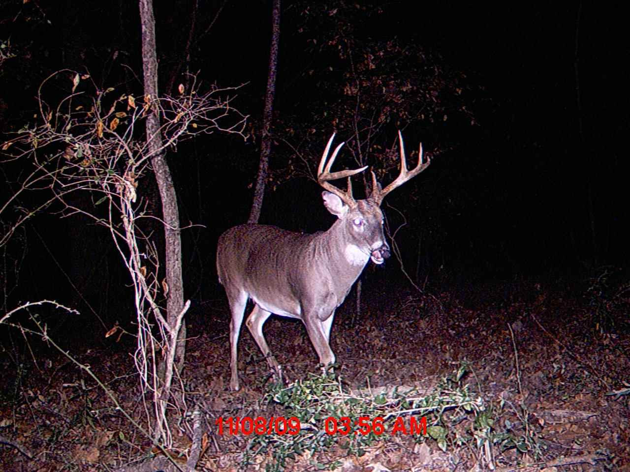524 Goodloe Road Canton, MS 39046 - Photo 24 of 27 Photo 26