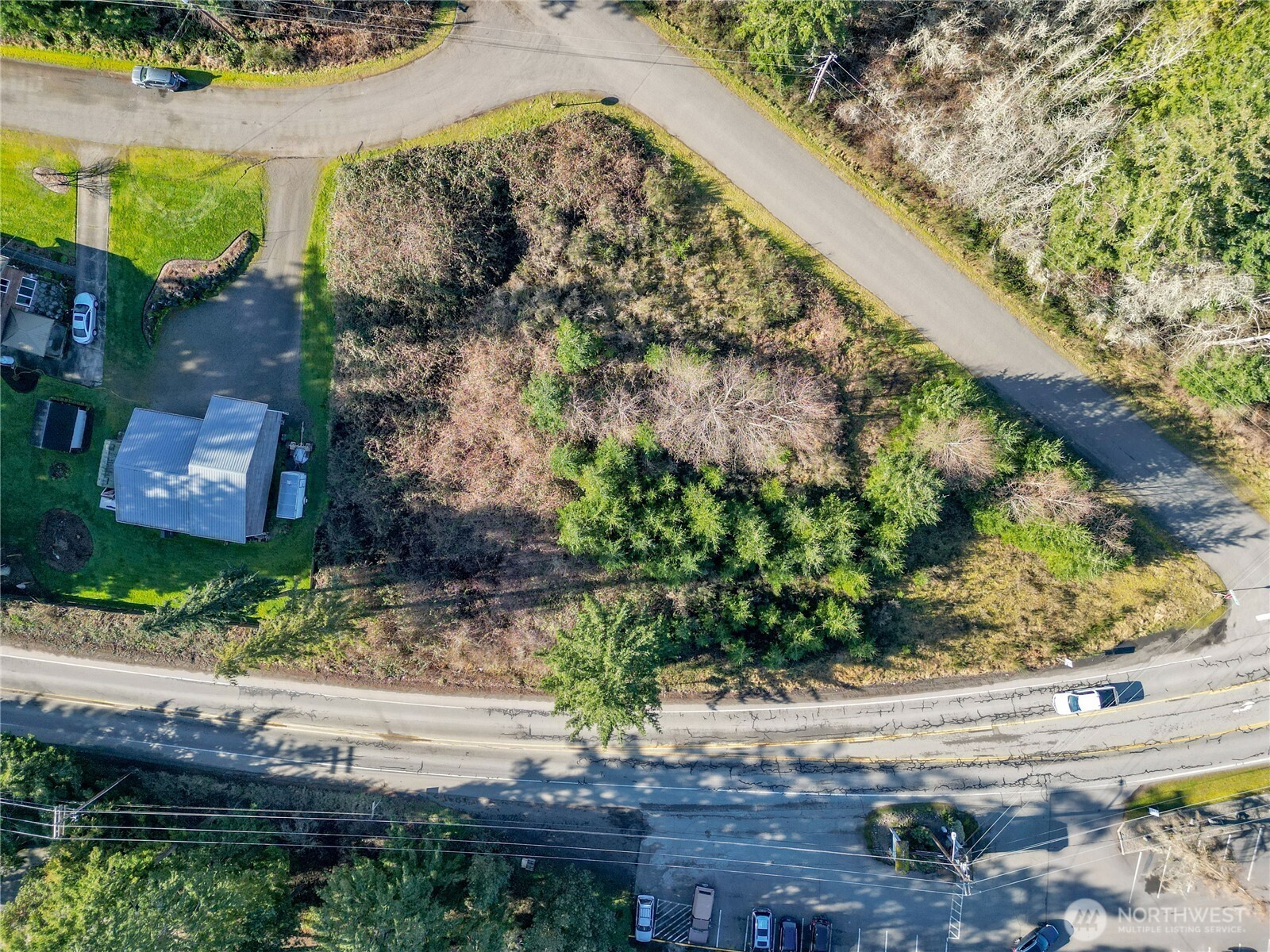a view of a garden with a pathway