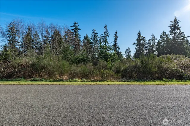 a view of a rural road with plants