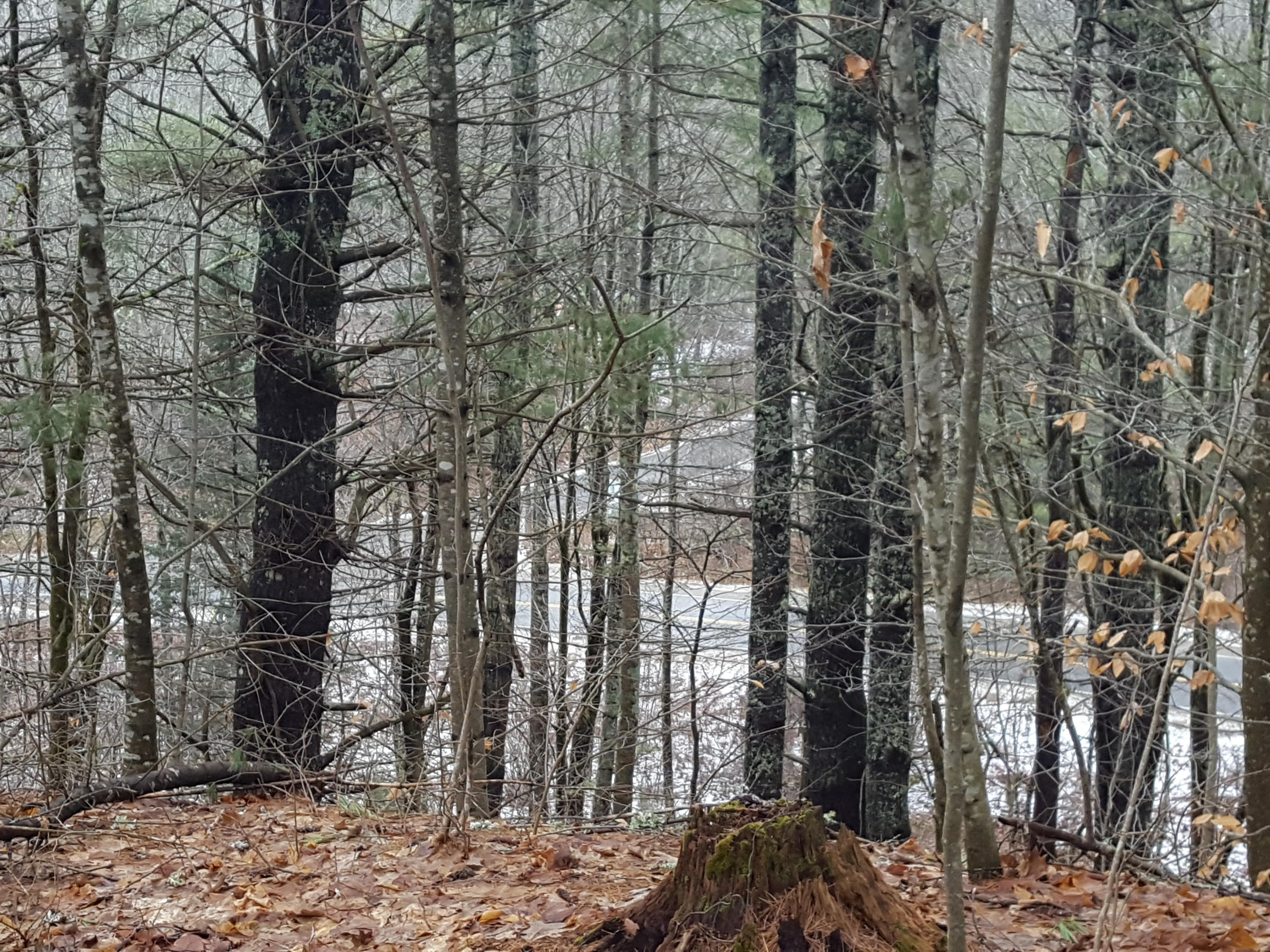 2200 Alna Road Alna, ME 04535 - Photo 17 of 59 20210117_101505