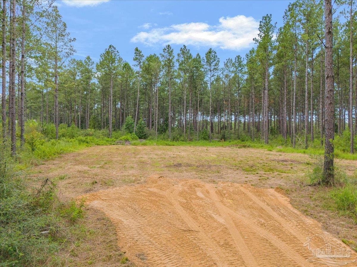 1403 Mineral Springs Road Jay, FL 32565 - Photo 6 of 15