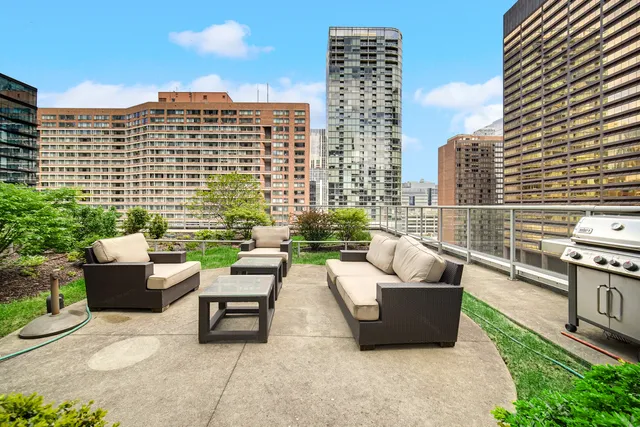 a view of a patio with couches and a potted plant on a table