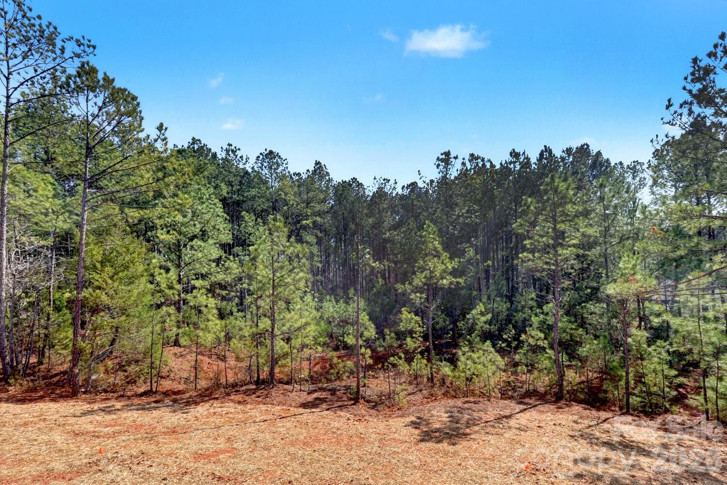 3210 Sherman Drive Lancaster, SC 29720 - Photo 41 of 44 a view of a yard