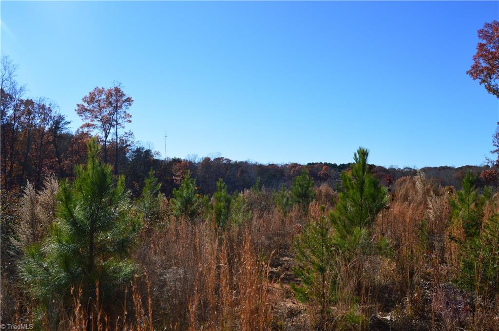 640 Rob Tom Road Eden, NC 27288 - Photo 2 of 28 Gallery Image 2