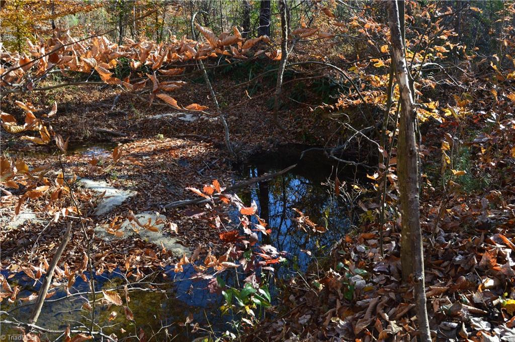 640 Rob Tom Road Eden, NC 27288 - Photo 11 of 28 Gallery Image 11