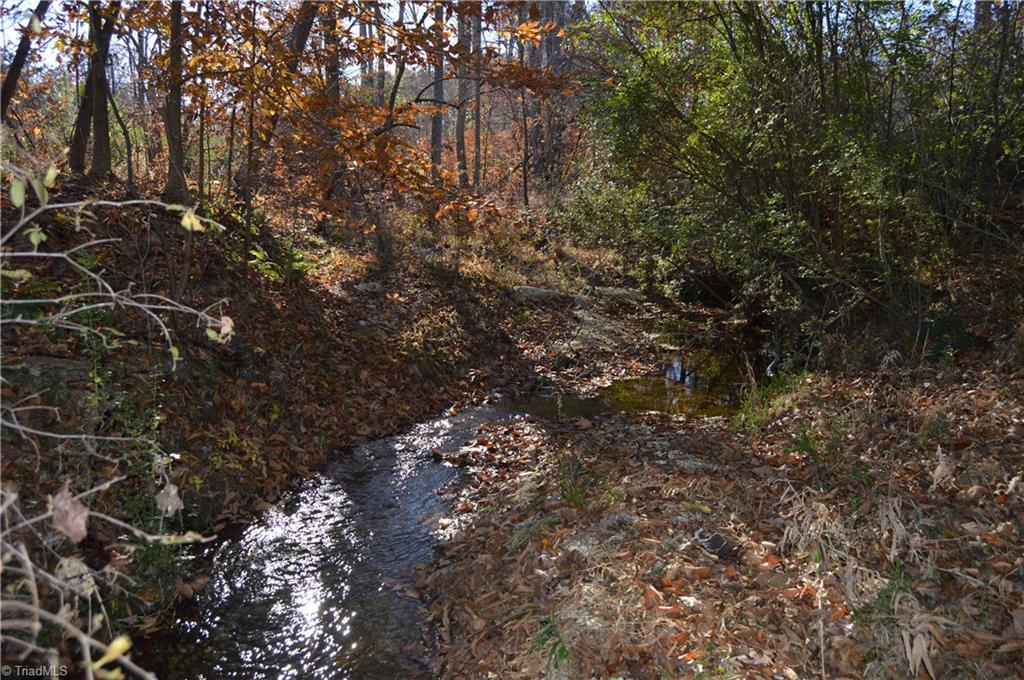 640 Rob Tom Road Eden, NC 27288 - Photo 14 of 28 Gallery Image 14