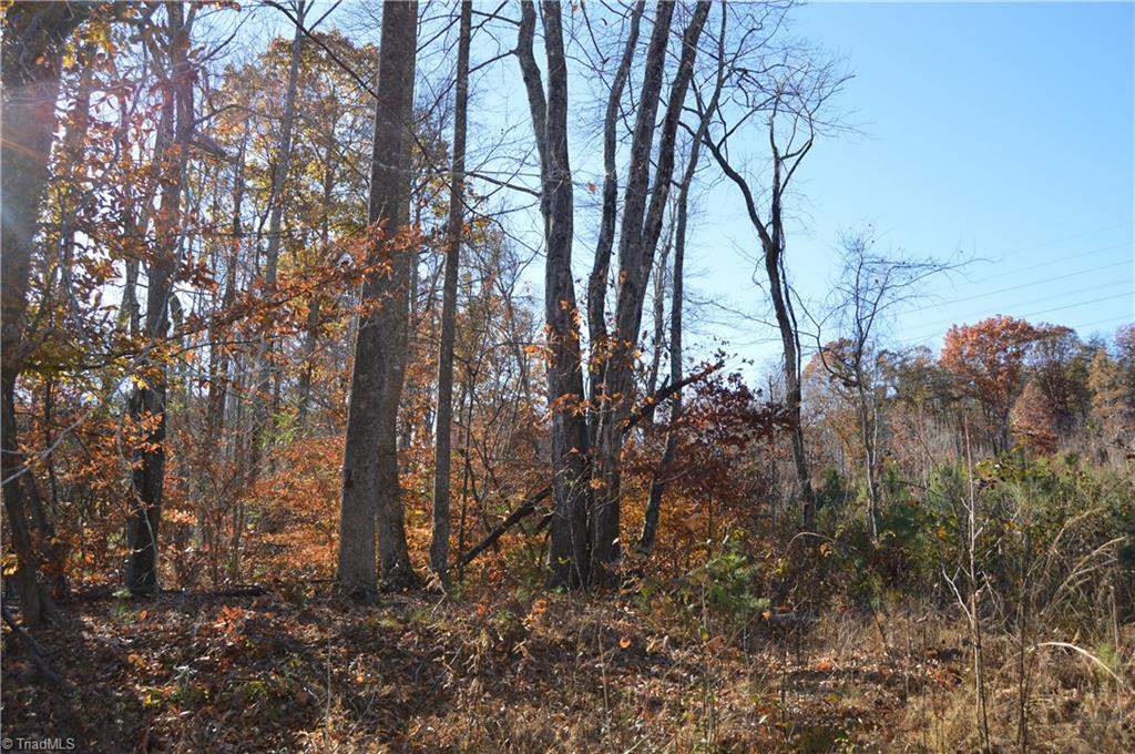 640 Rob Tom Road Eden, NC 27288 - Photo 15 of 28 Gallery Image 15