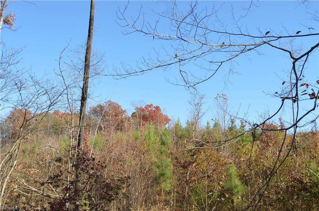 640 Rob Tom Road Eden, NC 27288 - Photo 16 of 28 Gallery Image 16