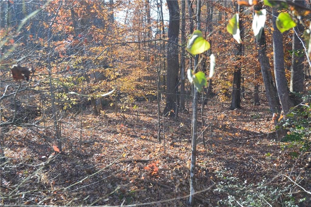 640 Rob Tom Road Eden, NC 27288 - Photo 17 of 28 Gallery Image 17