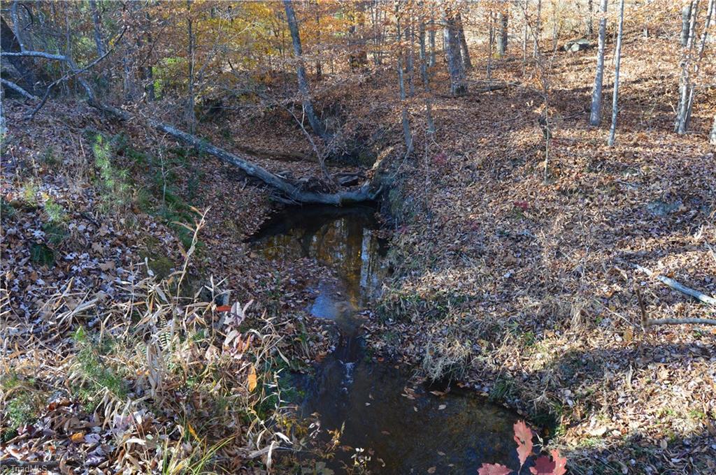 640 Rob Tom Road Eden, NC 27288 - Photo 19 of 28 Gallery Image 19