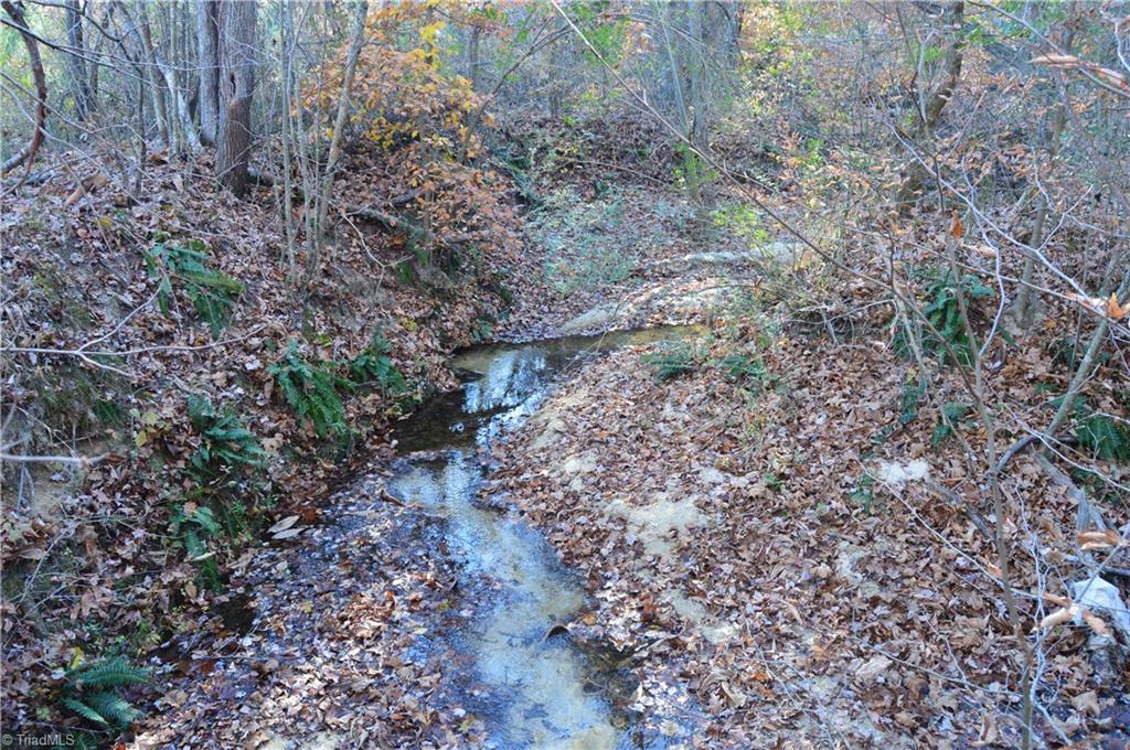 640 Rob Tom Road Eden, NC 27288 - Photo 20 of 28 Gallery Image 20
