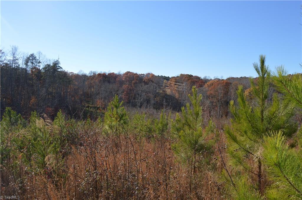 640 Rob Tom Road Eden, NC 27288 - Photo 3 of 28 Gallery Image 3