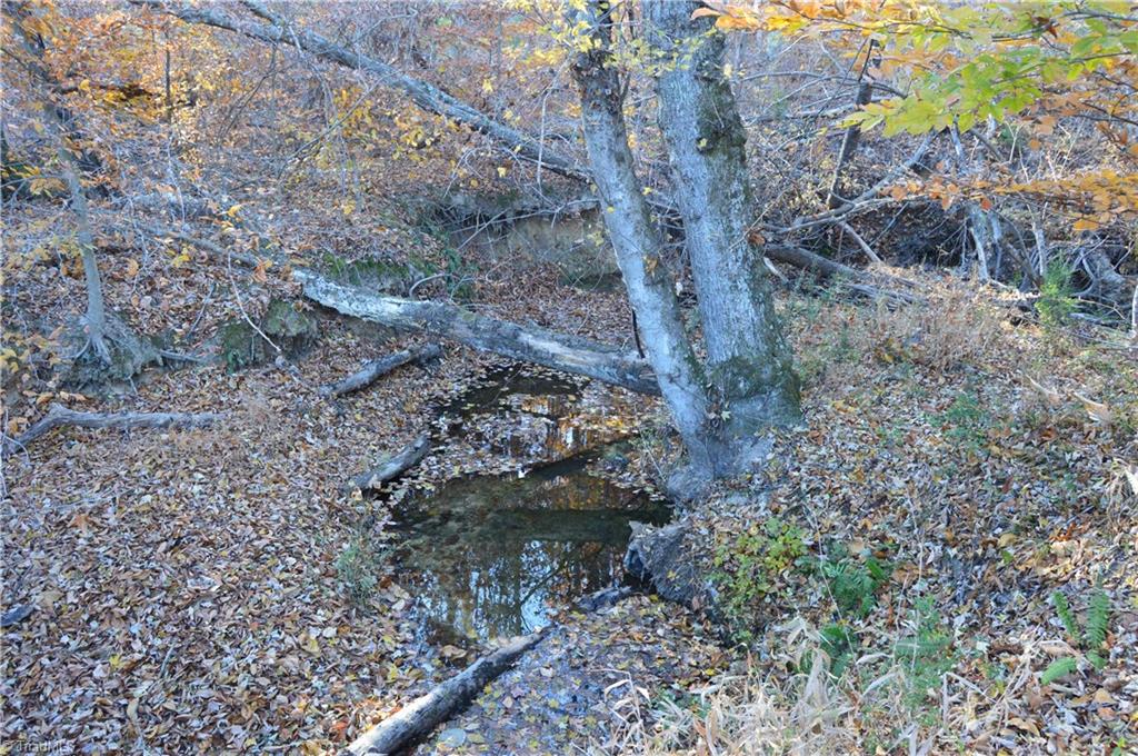 640 Rob Tom Road Eden, NC 27288 - Photo 21 of 28 Gallery Image 21