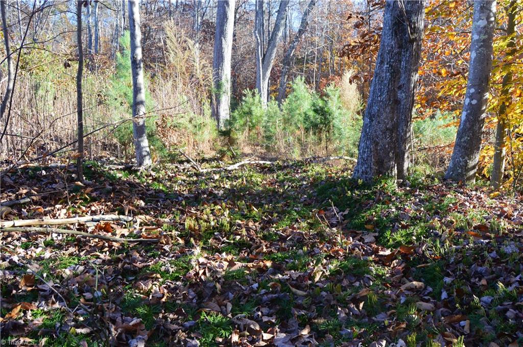 640 Rob Tom Road Eden, NC 27288 - Photo 24 of 28 Gallery Image 24