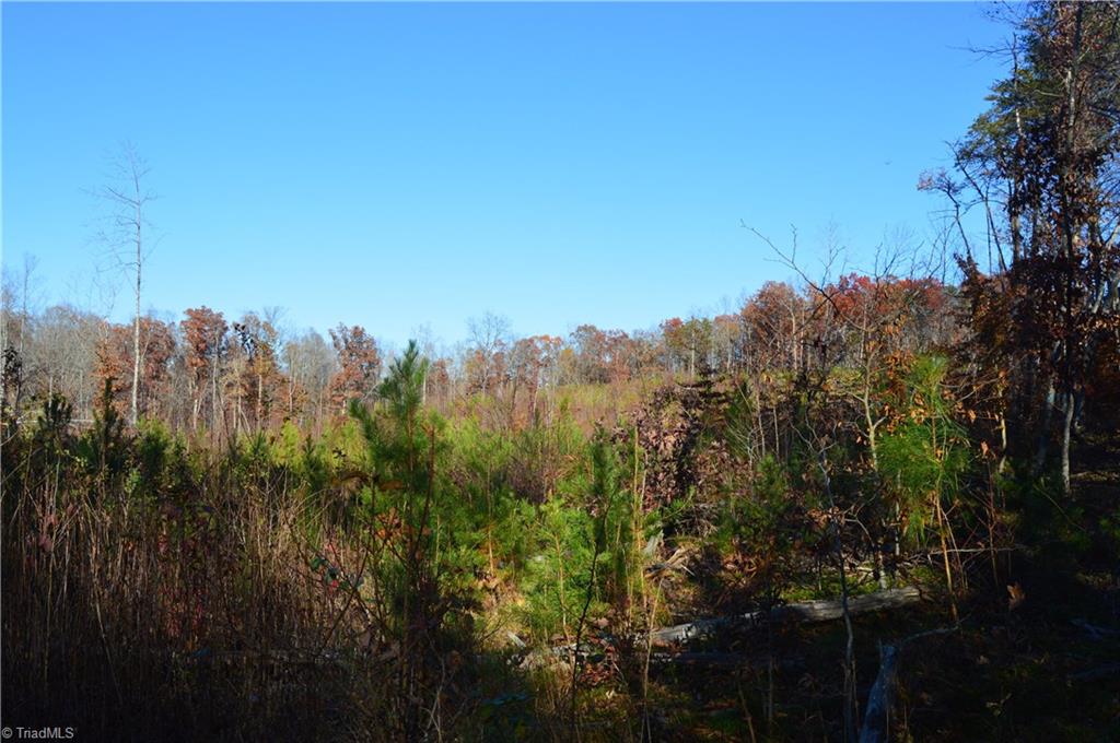 640 Rob Tom Road Eden, NC 27288 - Photo 25 of 28 Gallery Image 25
