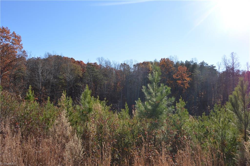 640 Rob Tom Road Eden, NC 27288 - Photo 4 of 28 Gallery Image 4
