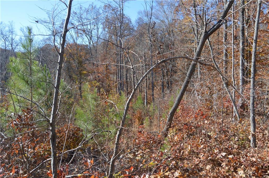 640 Rob Tom Road Eden, NC 27288 - Photo 5 of 28 Gallery Image 5