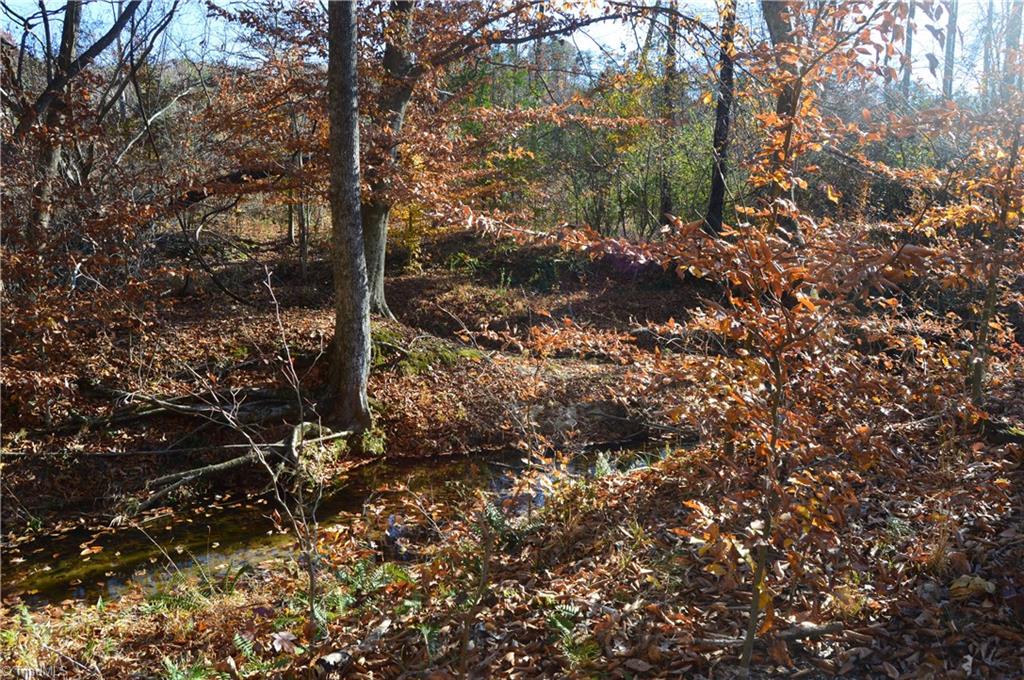 640 Rob Tom Road Eden, NC 27288 - Photo 10 of 28 Gallery Image 10