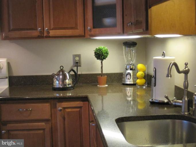 8595 Raglan Road Vienna, VA 22182 - Photo 26 of 30 Kitchen #3