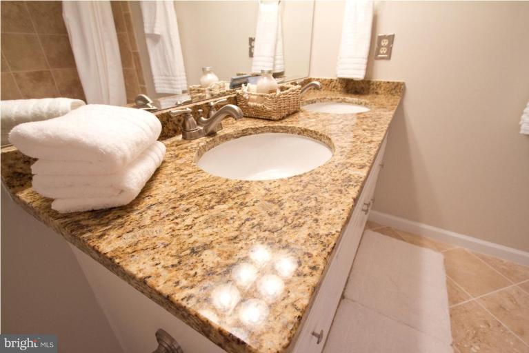 8595 Raglan Road Vienna, VA 22182 - Photo 6 of 30 Master Bath #2