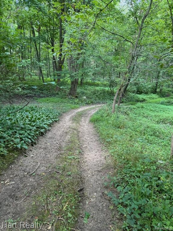 4670 Kilgore Road Croswell, MI 48422 - Photo 38 of 39