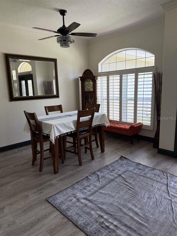 6568 Millstone Drive New Port Richey, FL 34655 - Photo 4 of 26 a living room with furniture and a window