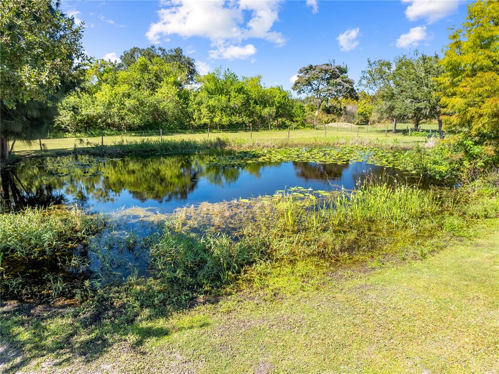 3198 Cherokee Road St. Cloud, FL 34772 - Photo 41 of 43 a view of a lake with a house in the background