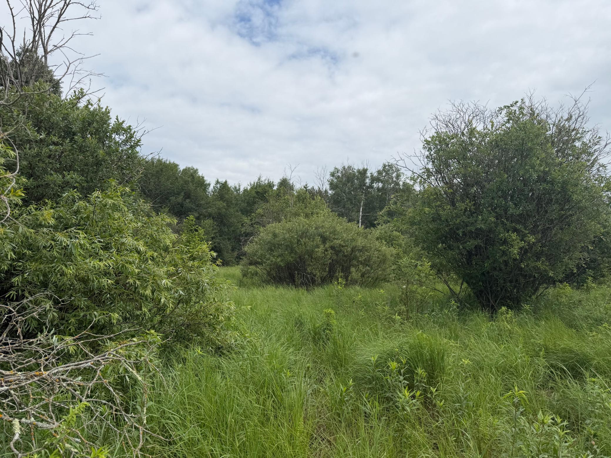 Tbd 350th Street Sebeka, MN 56477 - Photo 95 of 100