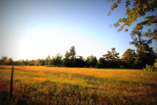 930 Bennock Mill Road Augusta, GA 30906 - Photo 1 of 8 Main View