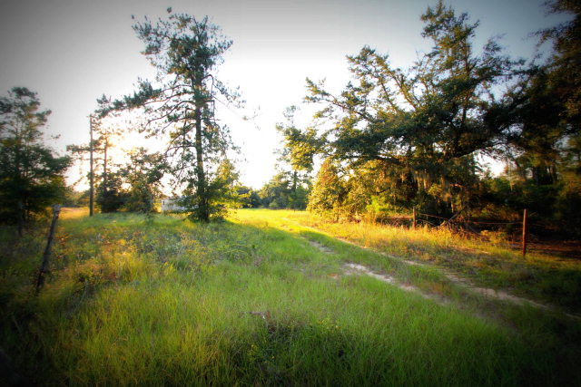 930 Bennock Mill Road Augusta, GA 30906 - Photo 3 of 8