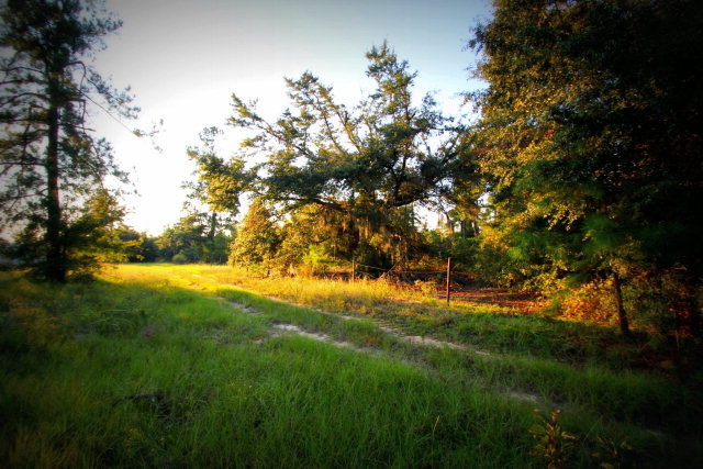930 Bennock Mill Road Augusta, GA 30906 - Photo 4 of 8