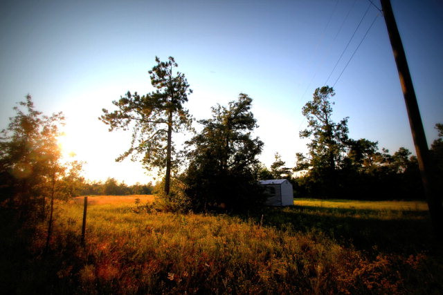 930 Bennock Mill Road Augusta, GA 30906 - Photo 6 of 8