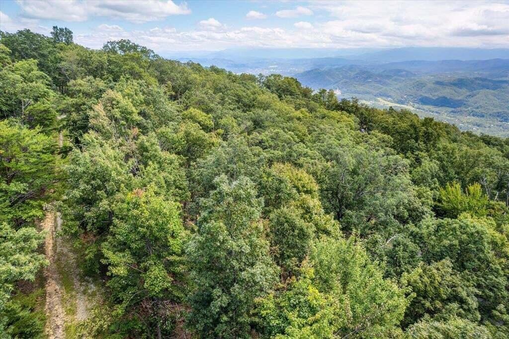 2116 Ross Way Sevierville, TN 37862 - Photo 1 of 8 Gallery Image 1