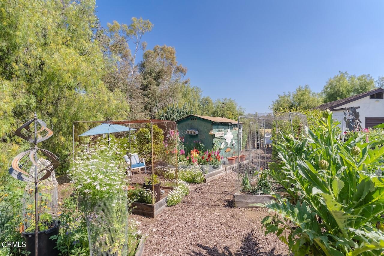919 Puddingstone Drive La Verne, CA 91750 - Photo 36 of 42 a view of outdoor space and yard