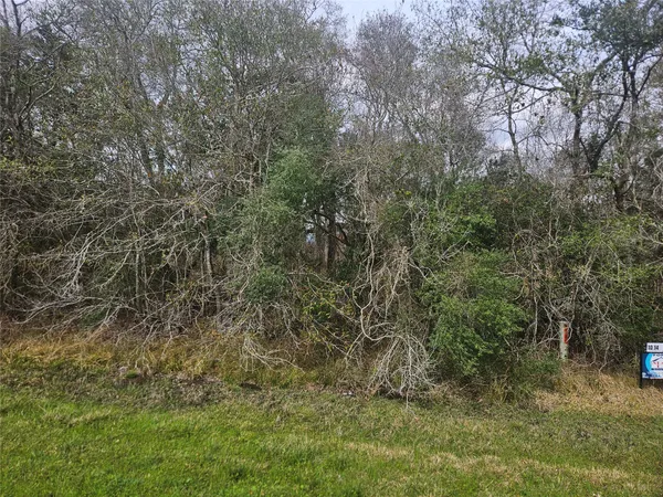 a view of a yard with large trees
