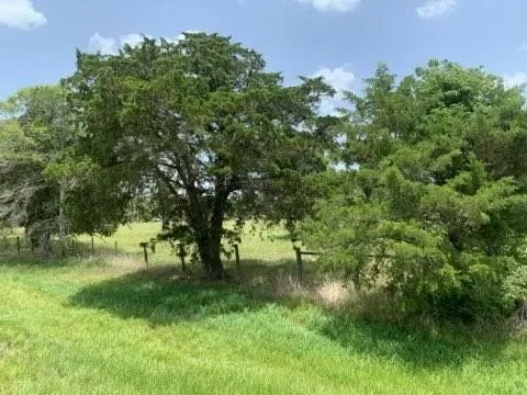 a view of a green yard