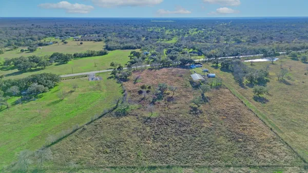 a view of a dry yard with trees