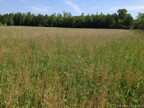 0 Gdn Crk Road Mathews, VA 23109 - Photo 2 of 8