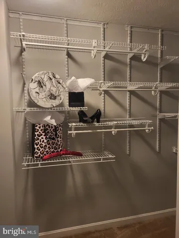 a close view of shoes