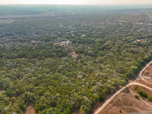 a view of a field with plants and trees in the background