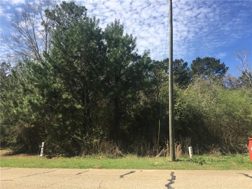 81181 Bob Baxter Road Bush, LA 70431 - Photo 1 of 1 Gallery Image 1