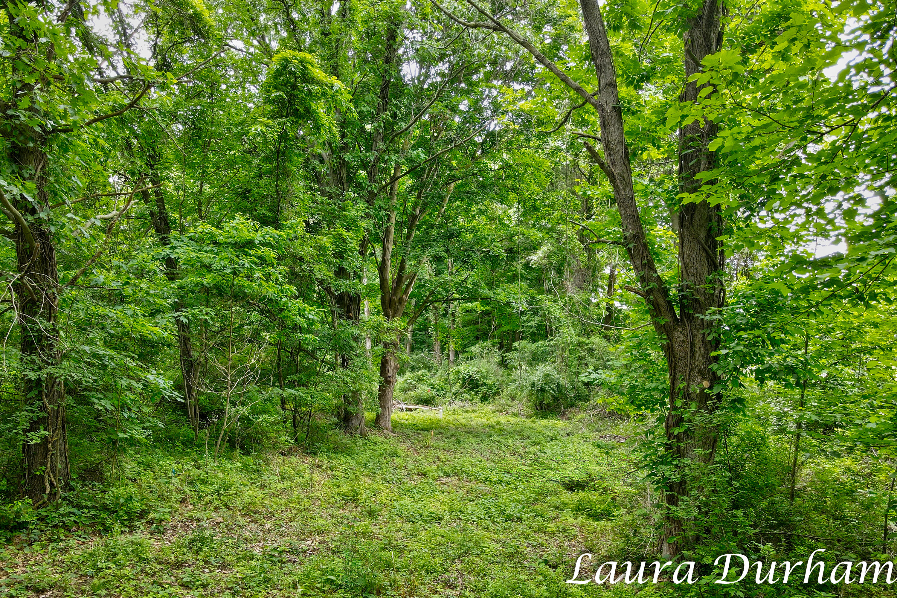 A Riverside Road Fennville, MI 49408 - Photo 4 of 29 Laura Durham A Riverside Road Lot-16