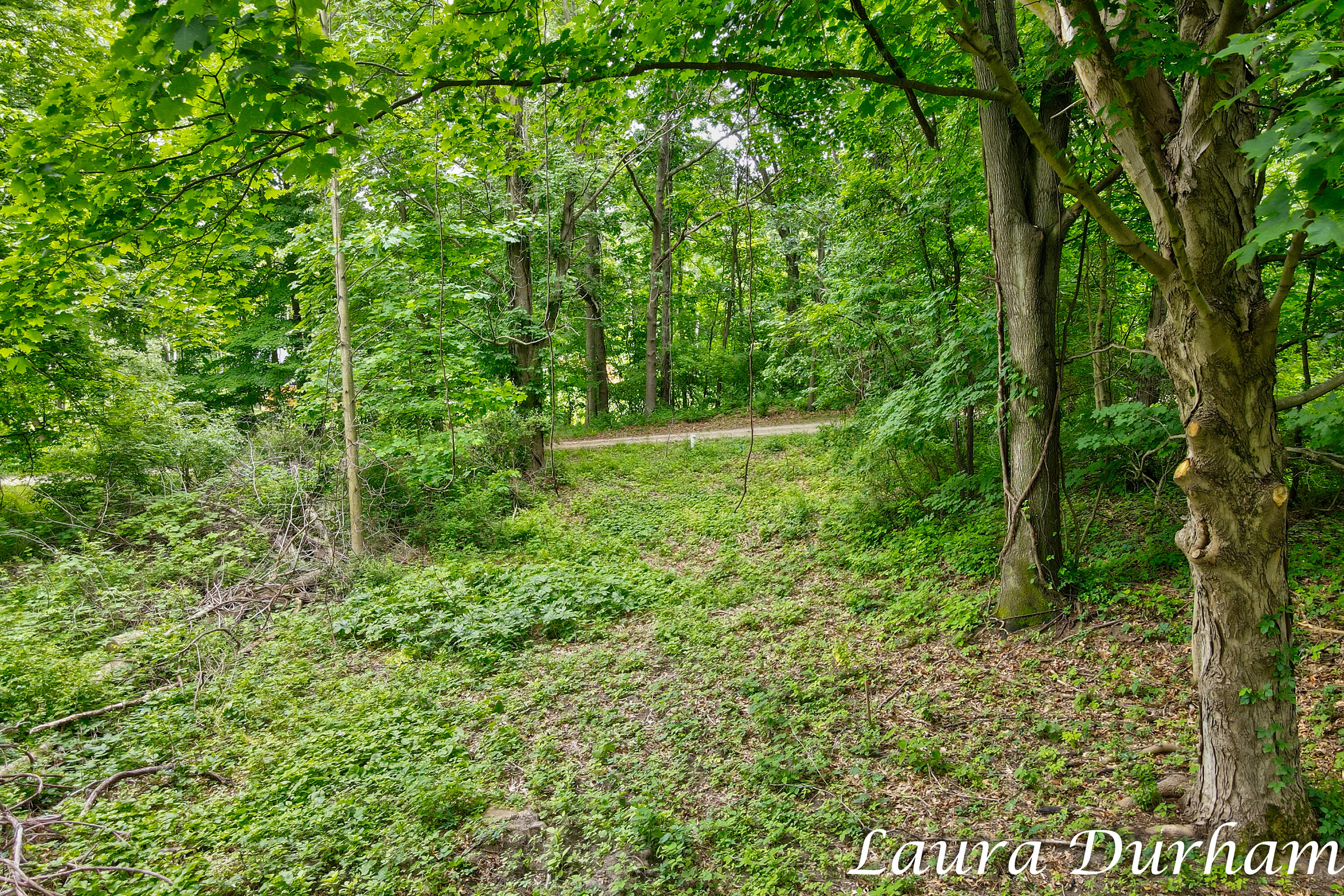 A Riverside Road Fennville, MI 49408 - Photo 6 of 29 Laura Durham A Riverside Road Lot-18