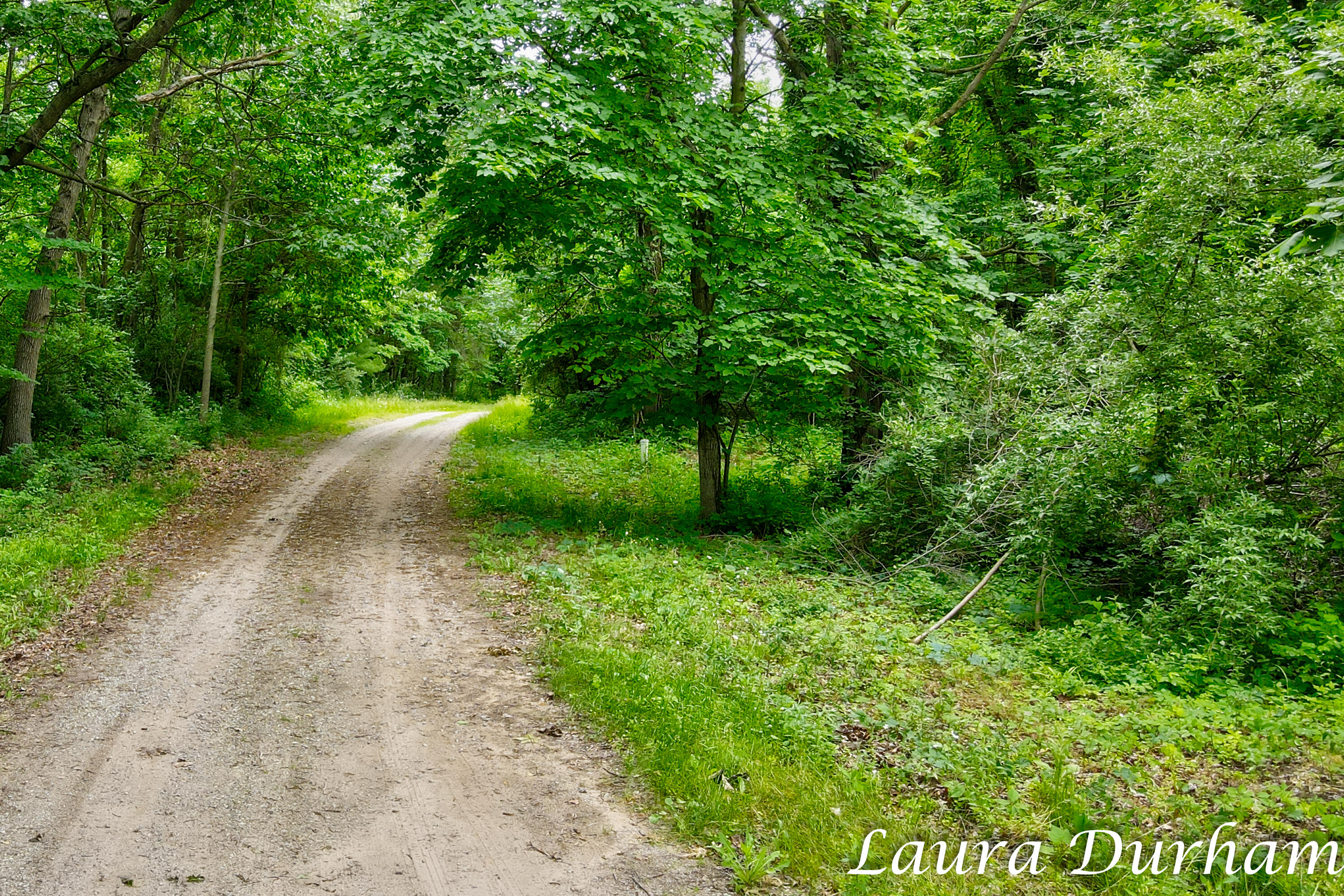A Riverside Road Fennville, MI 49408 - Photo 8 of 29 Laura Durham A Riverside Road Lot-20