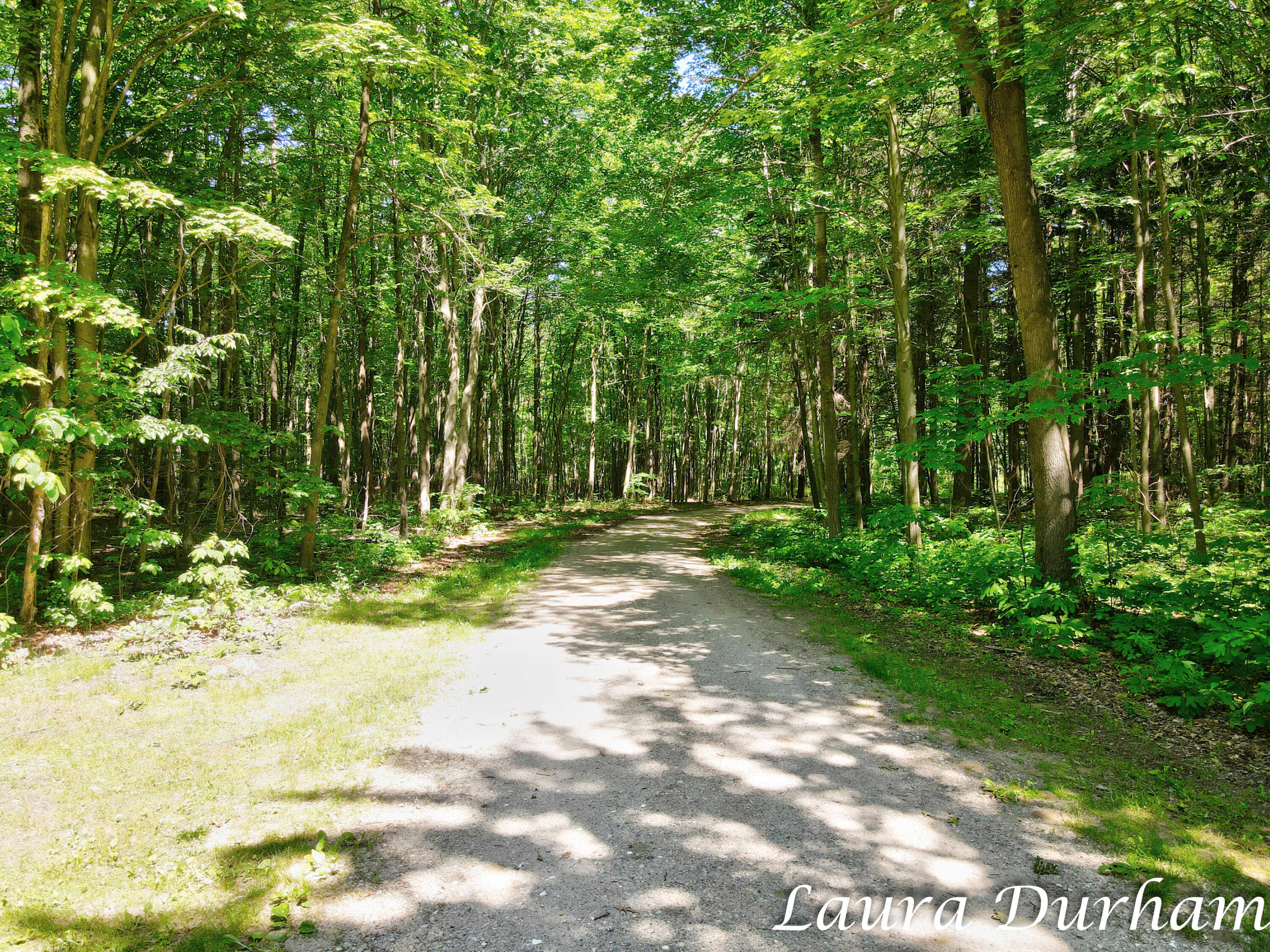 A Riverside Road Fennville, MI 49408 - Photo 10 of 29 Laura Durham Lot-6