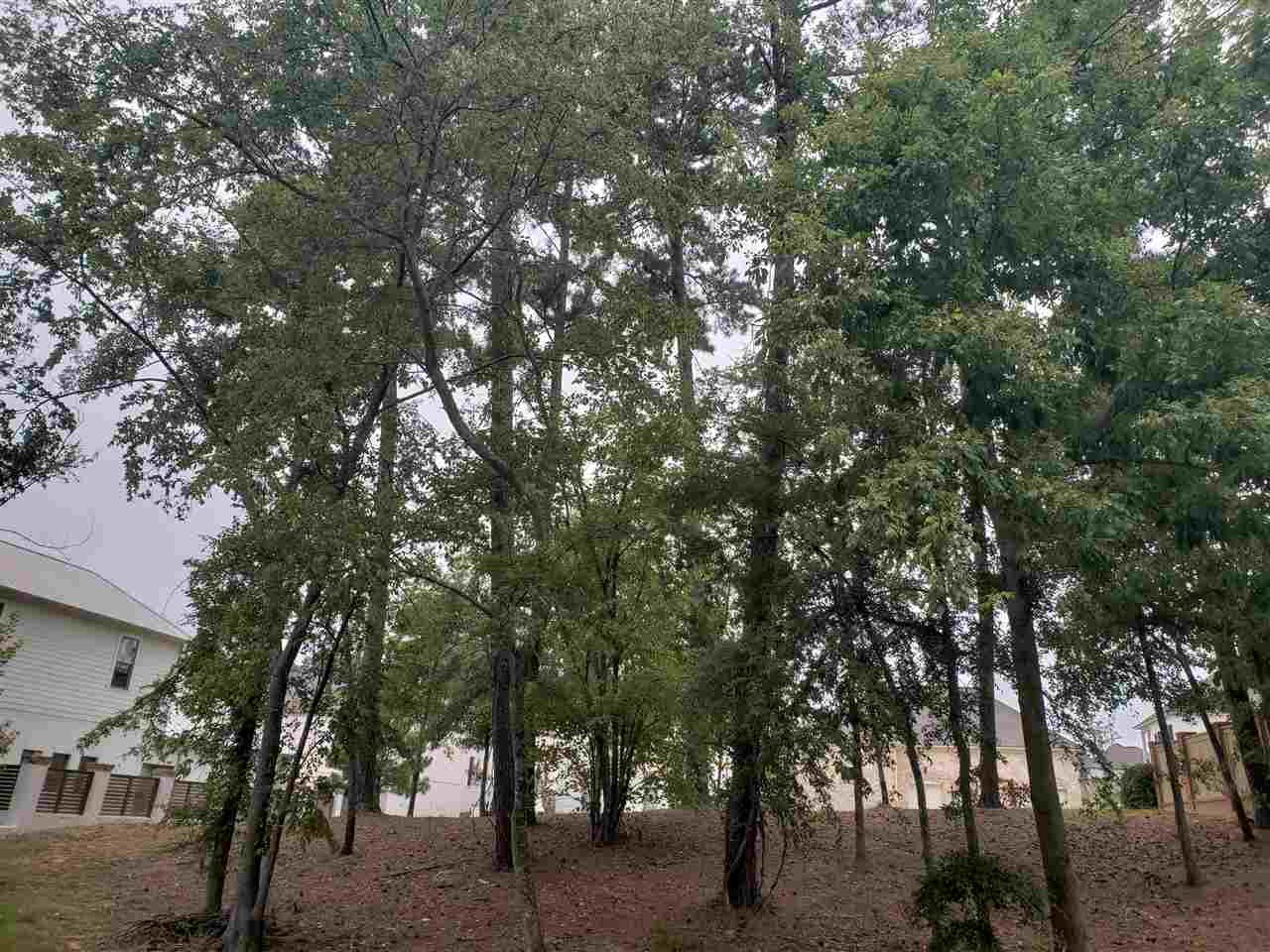 116 Old Trace Road, Unit 64 Madison, MS 39110 - Photo 11 of 11 Photo 11